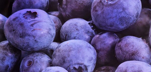 The Power of Blueberry/ Kraften i blåbär