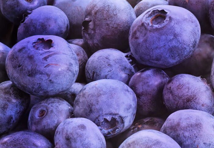 The Power of Blueberry/ Kraften i blåbär